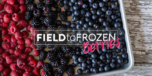 Field to Frozen: Summer Berries are a Seasonal Favorite!