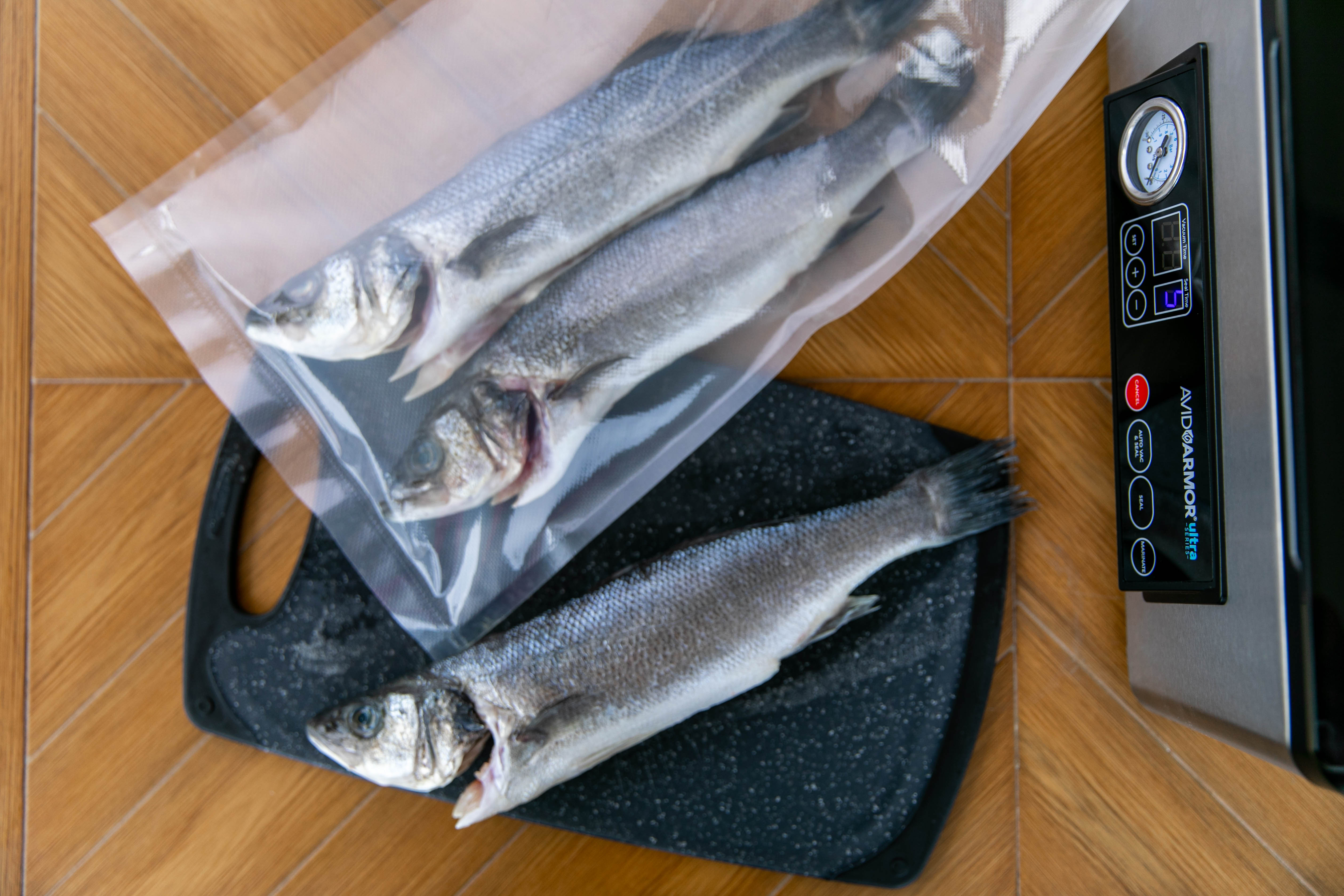Whole fish in vacuum sealer bag 