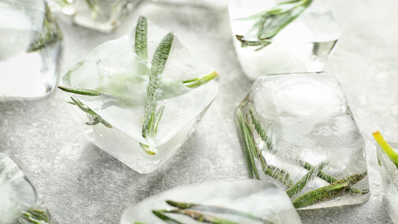 rosemary infused ice cubes