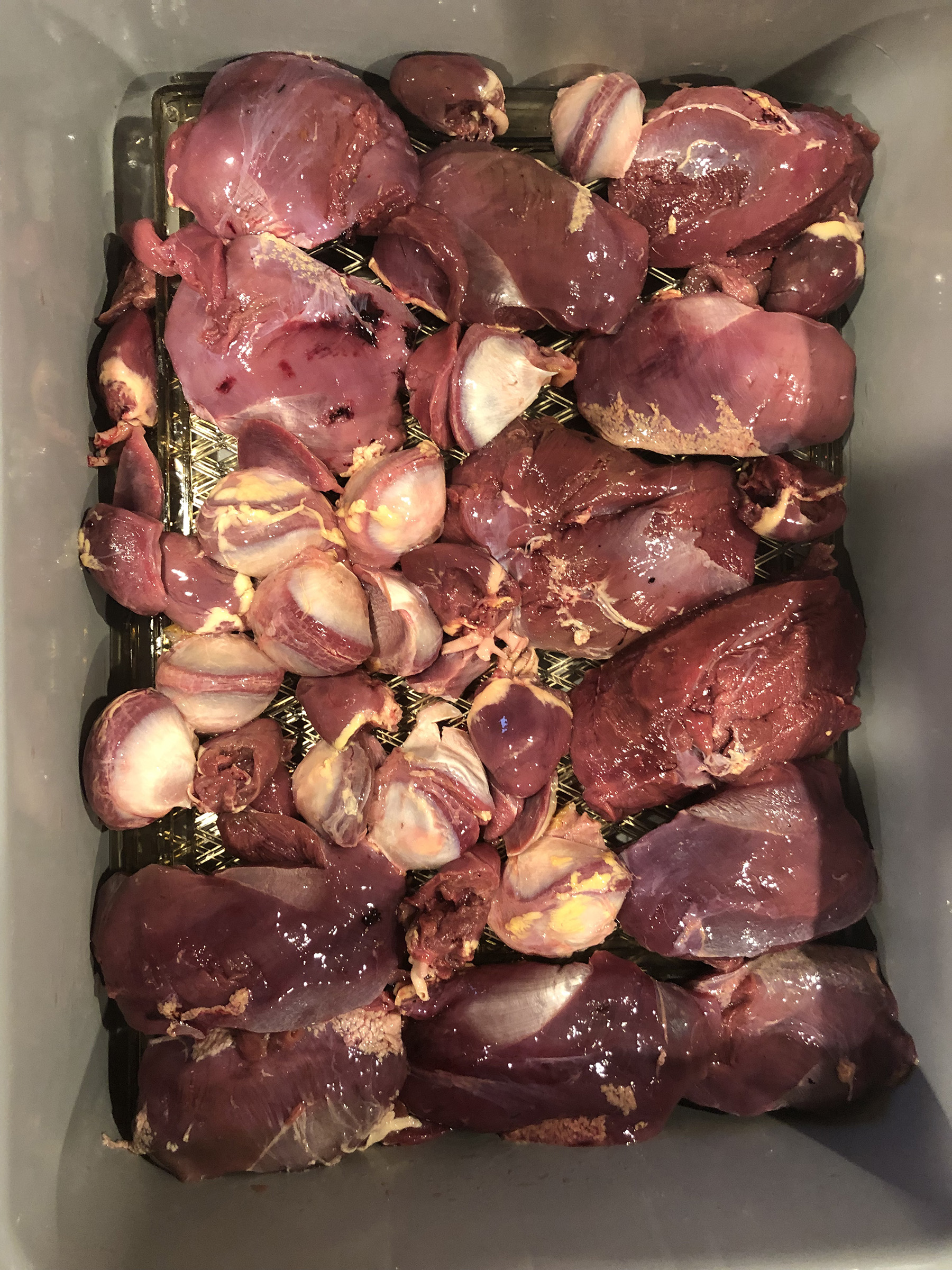 5 Tips For Perfect Vacuum-Sealed Wild Game Meat