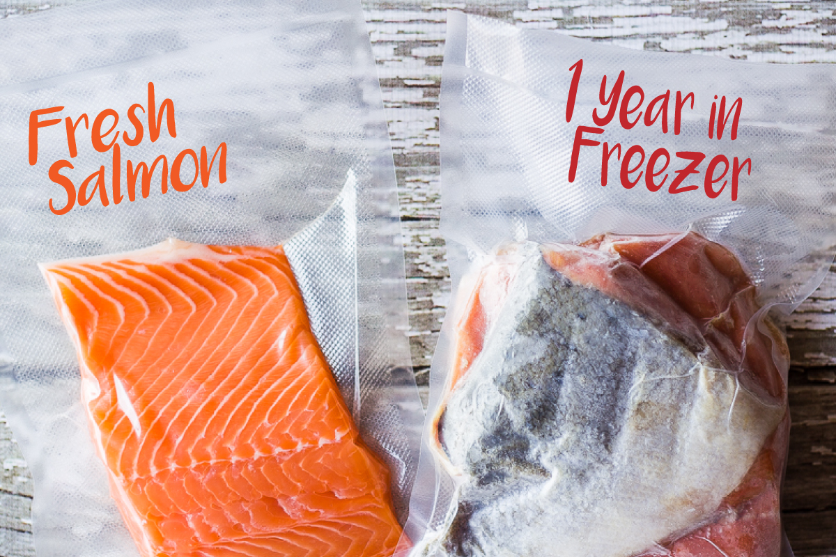 vacuum sealed fresh salmon and after 1 year in freezer